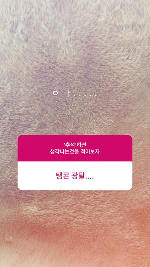 오늘자 탱구 인스타 답변 | 인스티즈