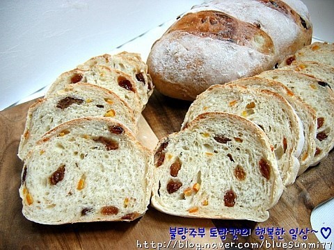 다음중 음식 넌씨눈 甲은? | 인스티즈