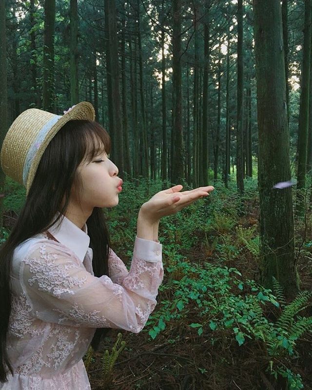 봉스 이미지