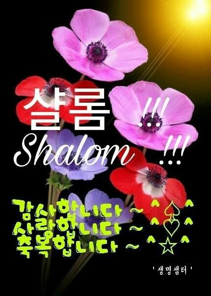 샬롬 이미지