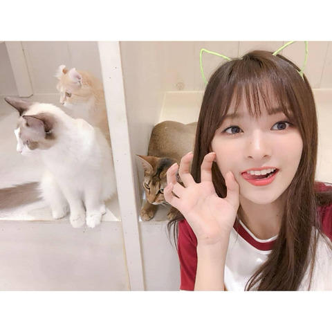 냥이까페간 프로미스 나인 | 인스티즈