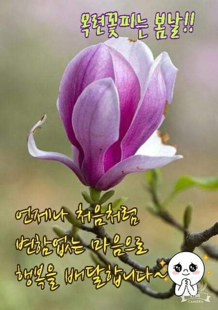 새로이 이미지