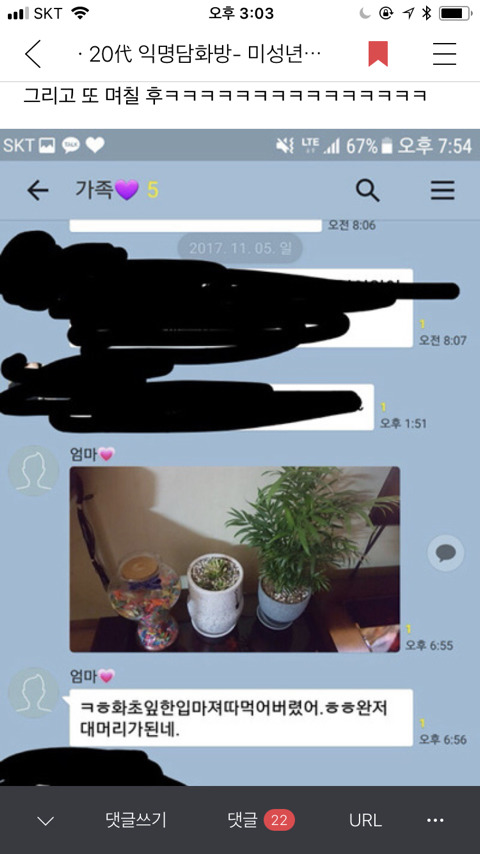 [익웃] 댕댕이가 어머님이 키우시는 산세베리아 뜯어먹음 | 인스티즈