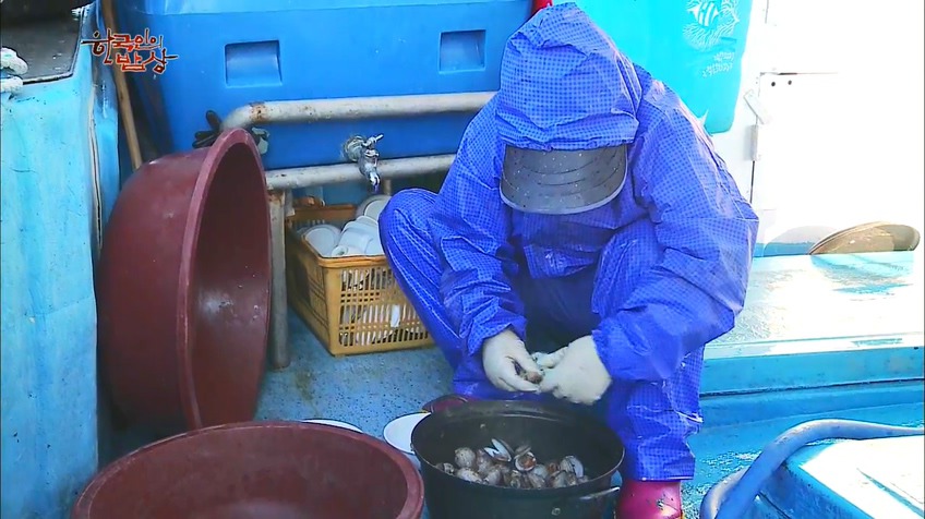 한국인의 밥상 - 인생이 허기질 때 장도로 가라 | 인스티즈
