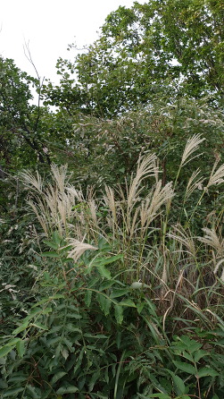 993BD9365D8471842BE9E1