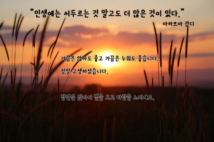 화목 이미지
