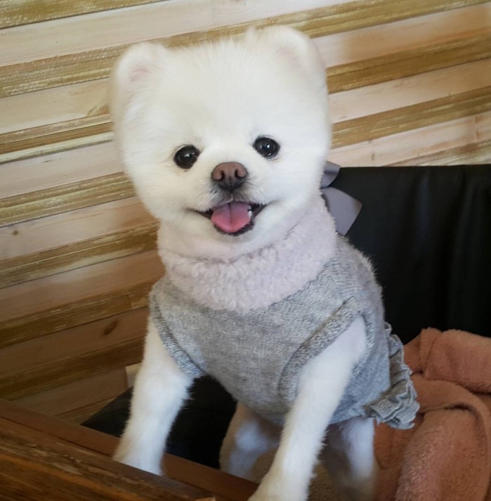 여기 자리있어요 | 인스티즈