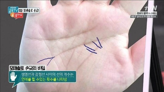 손금으로 보는 모태솔로 | 인스티즈