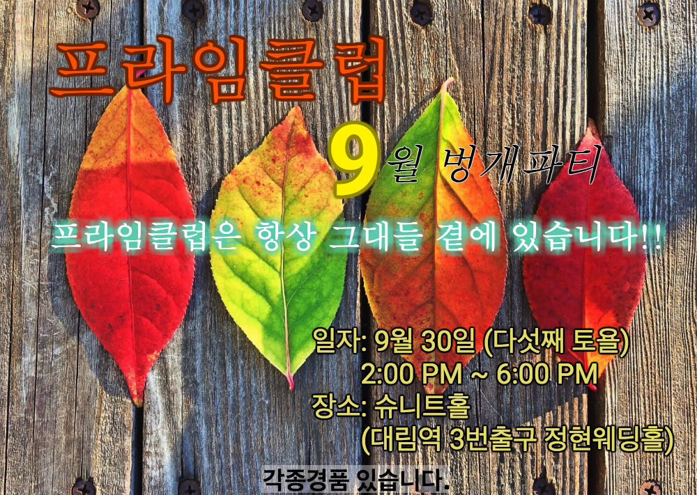 슈니트 이미지