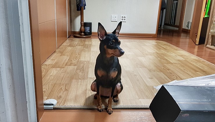 화이트스포츠 이미지