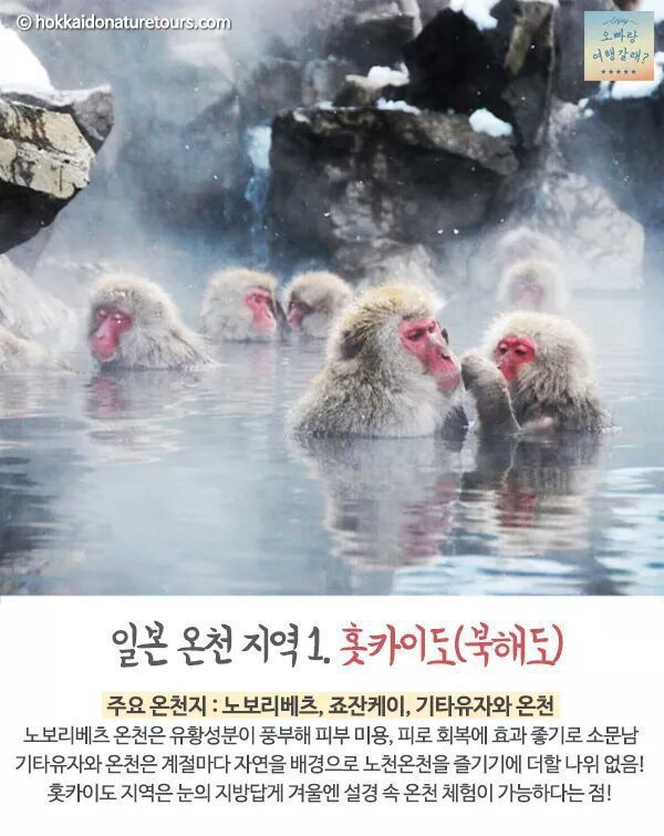 일본 온천 여행의 모든것 | 인스티즈