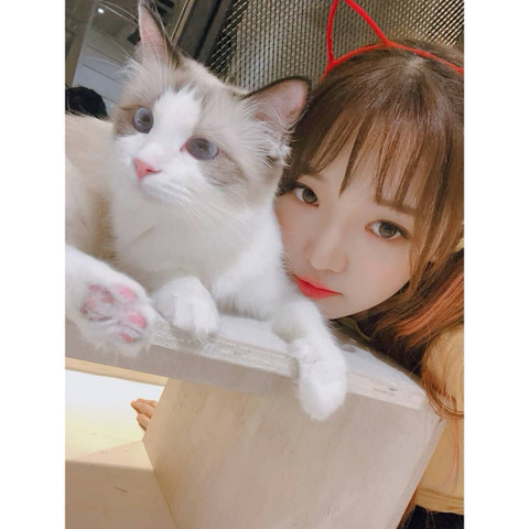 프로미스 나인 노지선 | 인스티즈