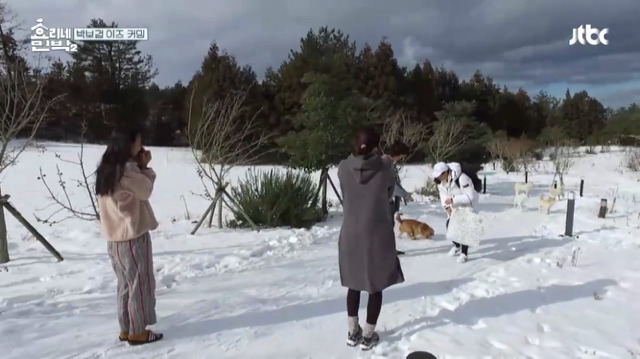 [효리네민박2] 박보검을 본 이효리 반응.jpg | 인스티즈