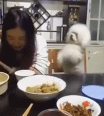이만하면 좀 줘라.gif | 인스티즈