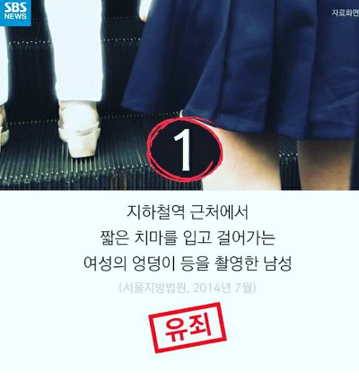 얘들아 개파라치 시행/공격성과 무관한 입마개 착용 의무화에 반대하는 가장 효과적인 방법!!! | 인스티즈