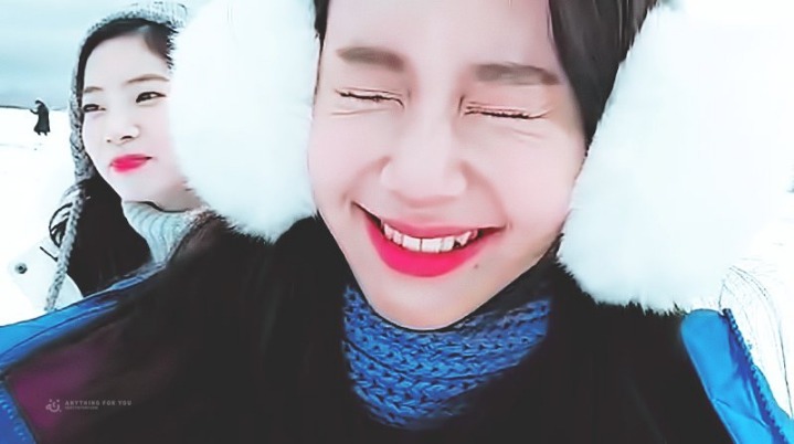 아기백호 채영 . gif | 인스티즈