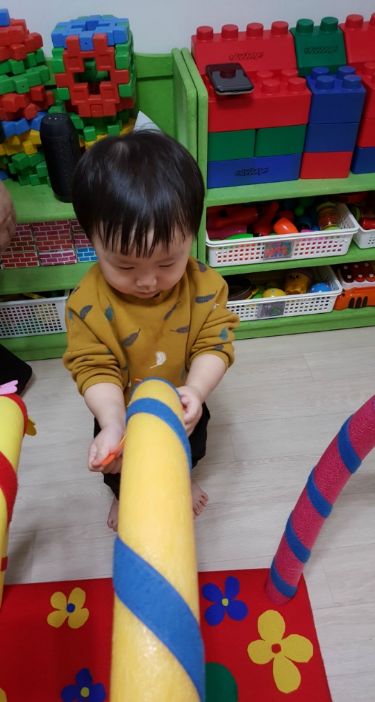킹콩플라워 이미지