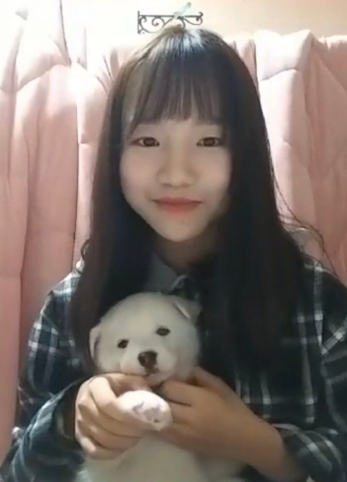 [아이즈원] 주인닮은 아이즈원 강아지들.jpg | 인스티즈