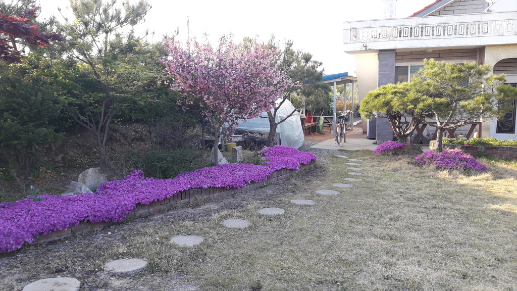 면사무소 이미지