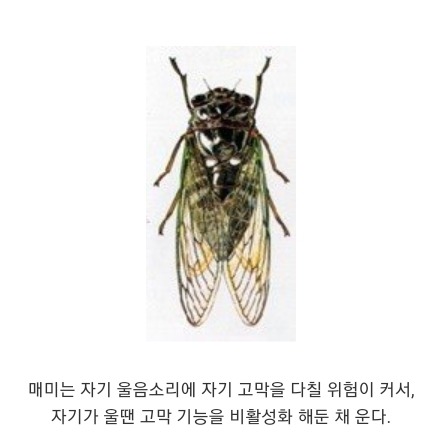 매미가 매미뒤진 이유.jpg | 인스티즈