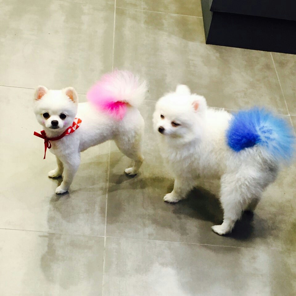 (주)반함 이미지