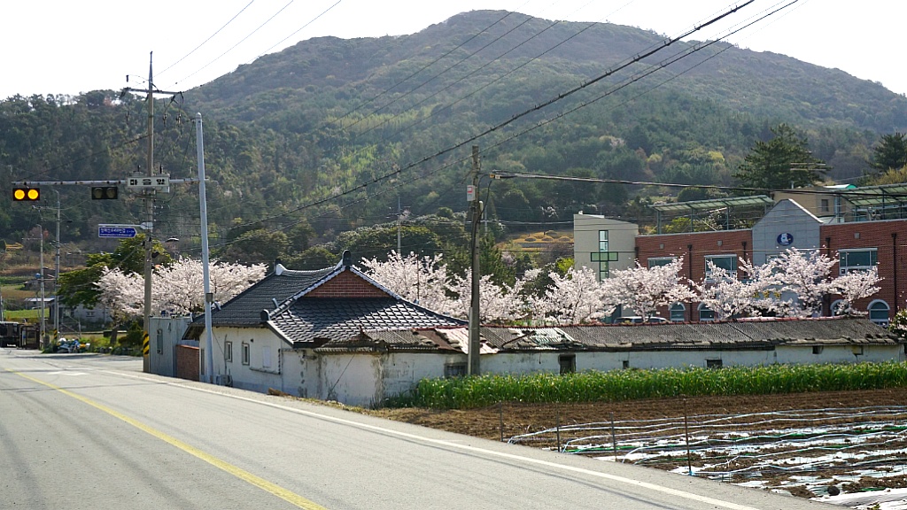 신지대교(신지도) 이미지