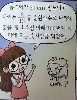 강아지 좀 찾아주세요 | 인스티즈