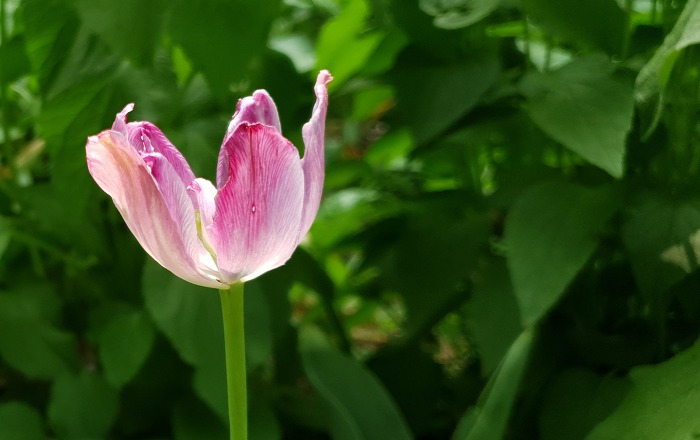 9979D2435CD8BF4618E1CD