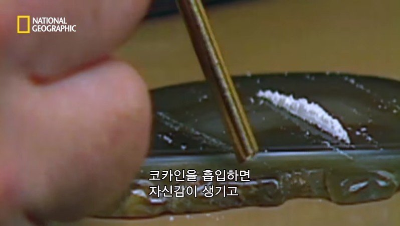 80년대 부자의 상징 코카인?.JPG | 인스티즈