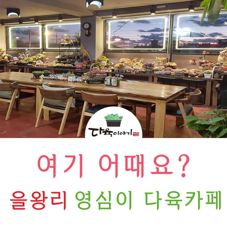 여기다육 이미지