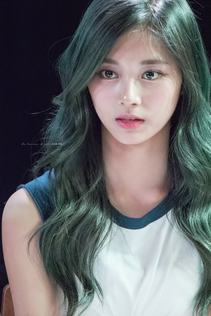 트와이스 정연 쯔위 | 인스티즈