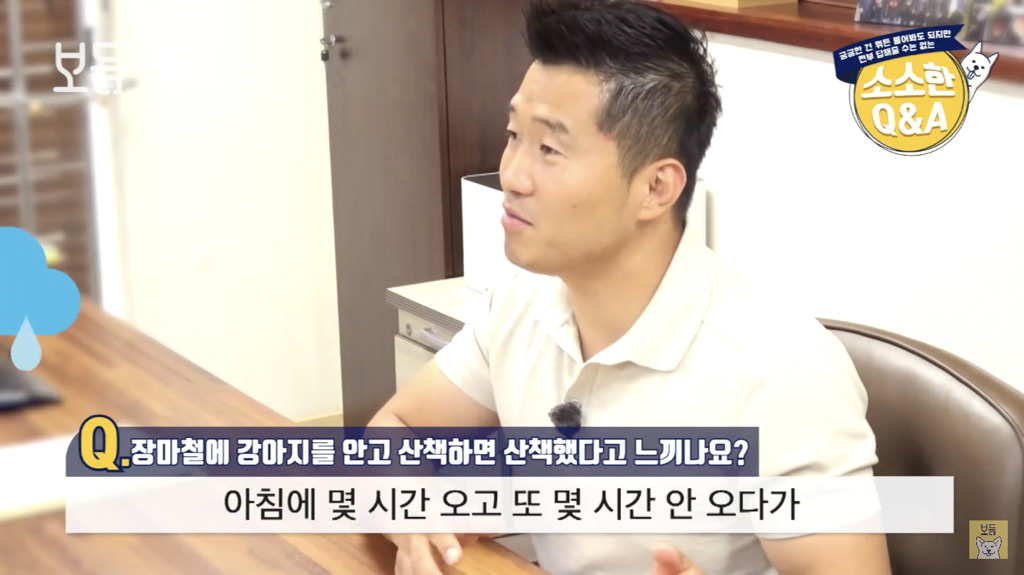 장마철에 강아지를 안고 산책하면 산책했다고 느끼나요?.jpg | 인스티즈