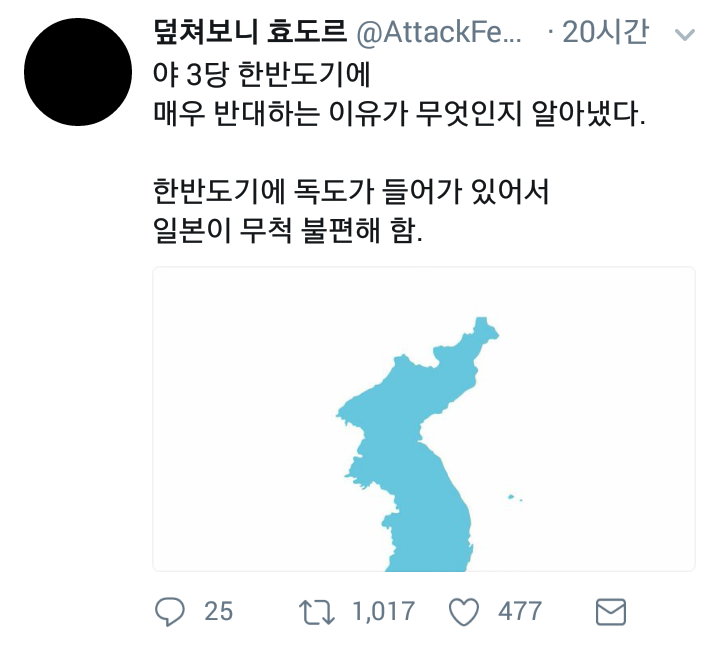 야3당이 한반도기 반대하는 이유 | 인스티즈