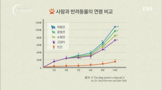 처음 반려동물 만났을때 너무 좋고 예뻐서 전혀 생각하지 못하는 것.jpg | 인스티즈