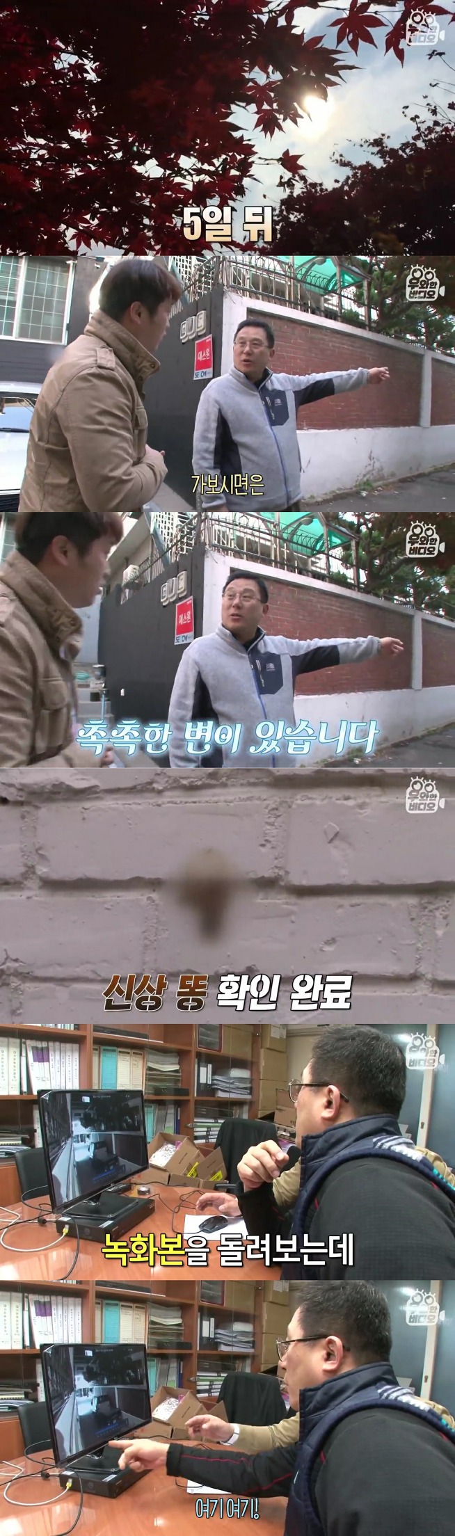 골목에 똥을 던져서 CCTV를 설치해봤더니 | 인스티즈