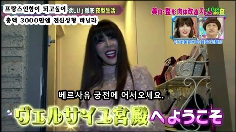프랑스 인형이 되고싶어 총액 3000만엔 전신성형한 바닐라 | 인스티즈