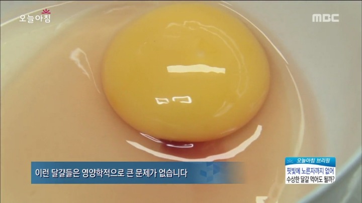 계란에서 피가나와요.jpg | 인스티즈