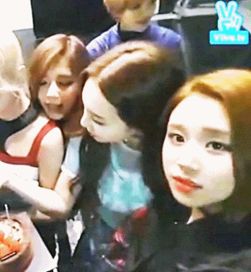 어미새 나연이와 아기새 쯔위 | 인스티즈