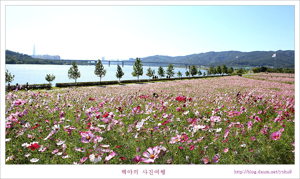 백야 이미지
