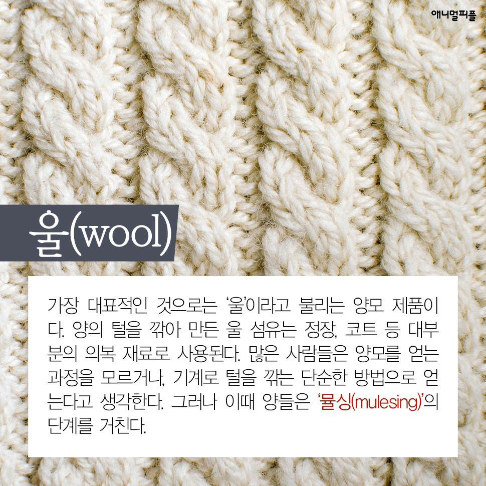 ??? : 아니 ㅅㅂ 말 못하는 강아지를 왜 때려...무슨 죄가 있다고... | 인스티즈