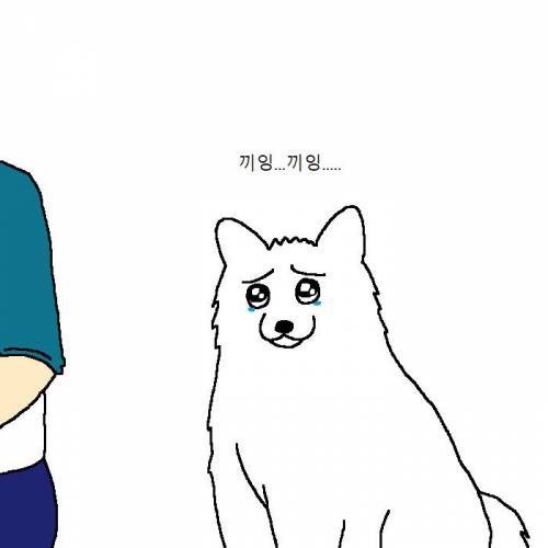 개가 치킨 먹고 싶어하는 만화 | 인스티즈