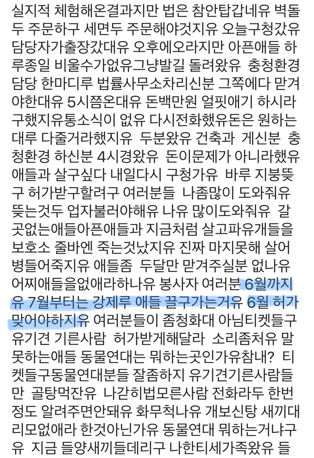 제발 한번만 봐주라,,,😢 유기됐던 댕냥이들과 함께 사는 박옥래 할머님이 많이 힘드셔 | 인스티즈