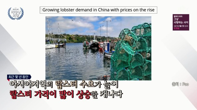 캐나다산 랍스터 싹쓸이 하는 중국 | 인스티즈
