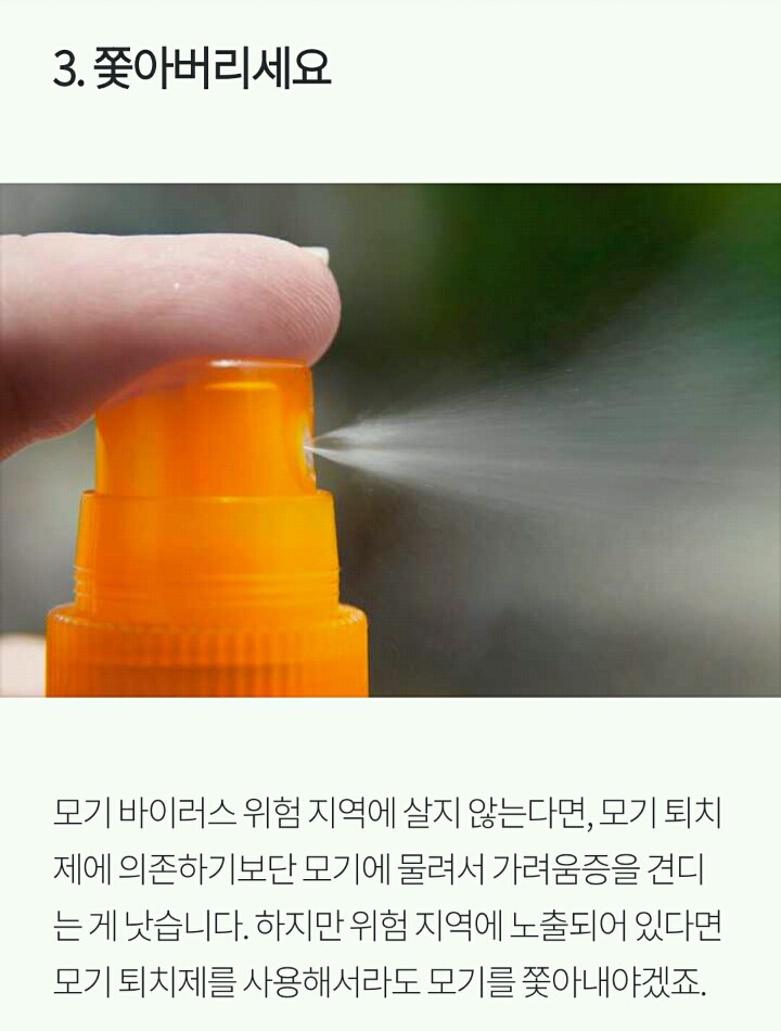 모기로부터 살아남는 5가지 방법 | 인스티즈