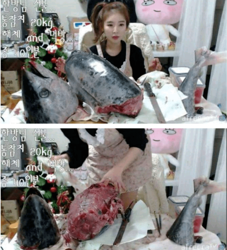 어느 여자 BJ의 먹방 클라스 .jpg | 인스티즈