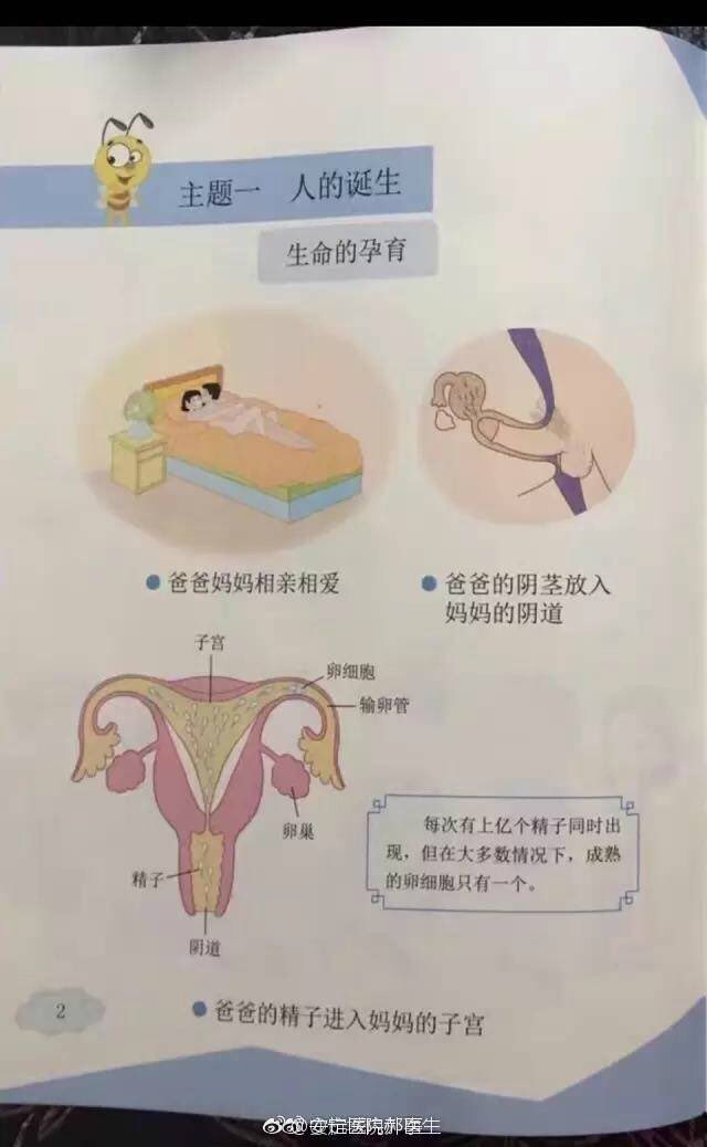 베이징 대학에서 개정한 성교육 교과서 | 인스티즈