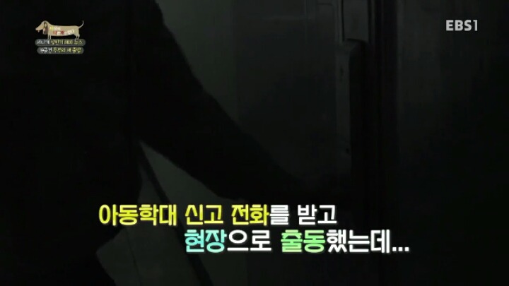 [세나개] 시도때도 없이 마운팅하고 똥을 먹는 두부의 문제 행동 고치기 -1.jpg | 인스티즈