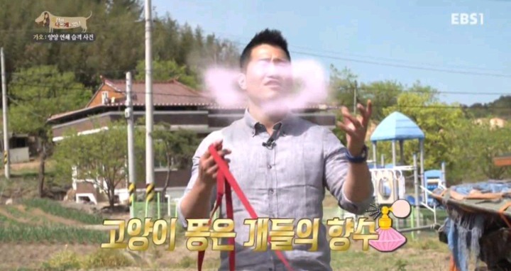 강형욱이 말하는 개들의 향수.JPG | 인스티즈