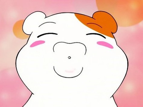 고합 이미지