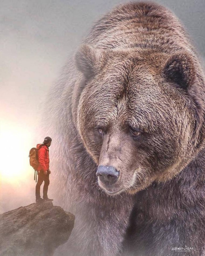 야생동물이 거대해진다면? | 인스티즈